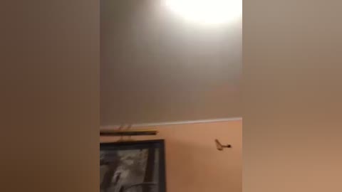 Video of a dimly lit room with beige walls. A framed painting hangs above a small, dark wooden shelf. The ceiling is unlit, casting a shadow over the room.