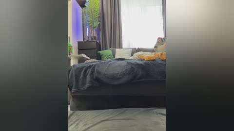 A video of a cozy bedroom with a dark grey bed covered in a grey blanket, surrounded by green and yellow pillows. The room features a tall, dark dresser, a large window with white curtains, and vibrant green houseplants.
