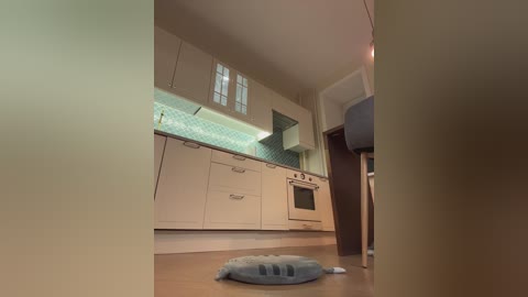 Video of a modern, minimalist kitchen with light wooden floors, white cabinets, a blue-tiled backsplash, and a small blue dog bed on the floor.