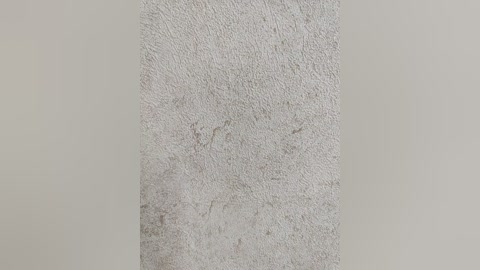 Video of a textured, off-white, rectangular stone or concrete wall with subtle grain patterns and a few small, light-colored stains. The background is a plain, light beige, creating a minimalist and somewhat industrial aesthetic.