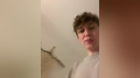 Video of a young man with short, messy brown hair, wearing a light grey shirt, standing in front of a beige wall with a faint, abstract drawing.