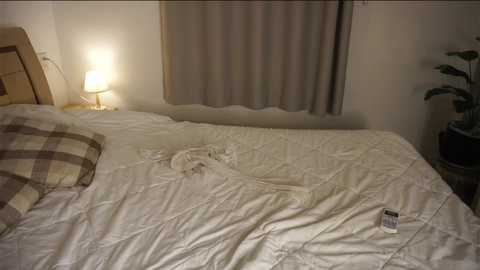 Video of a neatly made bed with white bedding, a beige pillow, and a white towel draped over the mattress. A lamp with a beige shade is on the bedside table, and a potted plant is on the right side of the room.