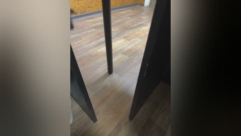 Video of a room with wooden floorboards and a brick wall, partially obscured by a black curtain. The scene suggests a dimly lit, possibly abandoned or minimalist space.