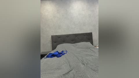Video of a minimalist bedroom with a grey tufted headboard, grey quilted bedspread, and blue clothes on the bed, set against a textured grey wall.