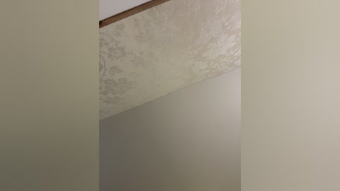 A video of a ceiling corner featuring a textured, floral-patterned plaster and a smooth, off-white wall. The ceiling and wall meet at a 90-degree angle, with the plaster exhibiting a subtle, intricate design. The lighting is soft and diffused, creating a serene ambiance.