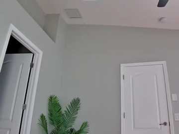 A video of a minimalist interior featuring light grey walls, a white door, and a partially open white door revealing a small closet. A lush green fern plant sits in the foreground.