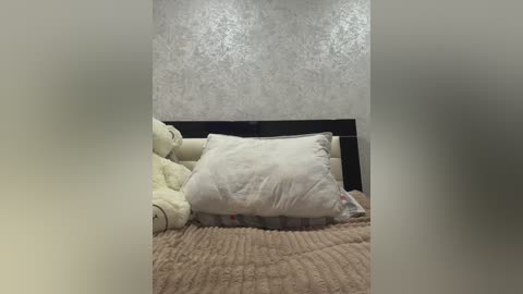 Video of a dimly lit bedroom with a beige textured wall, a white pillow, and a teddy bear on a beige, quilted bedspread.