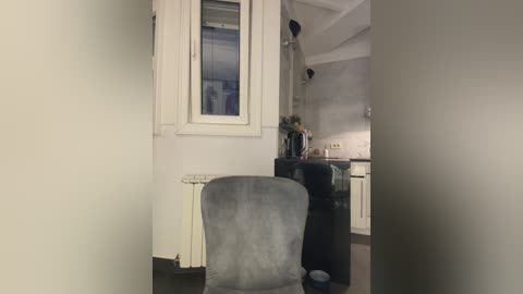 A video of a small, dimly lit room with a white-framed window, a gray upholstered chair, and a black leather couch. The background shows a modern kitchen with stainless steel appliances and a white wall.
