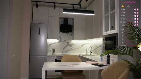 Video of a modern, minimalist kitchen with white cabinets, marble backsplash, stainless steel appliances, and a sleek countertop. Potted plants, a microwave, and a bottle of water are on the counter.