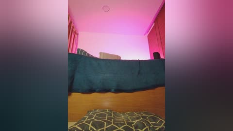 Video of a dimly lit bedroom with a bunk bed, covered in a dark blue blanket. The lower bunk is occupied by a person, partially visible, with a white pillow. The room is bathed in soft pink light.