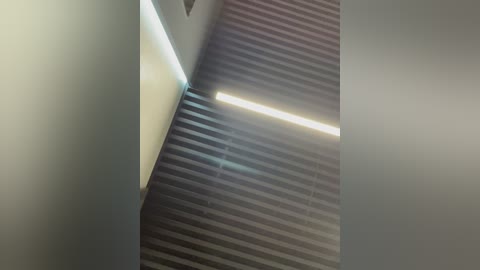 Video of a modern, dimly lit hallway with horizontal metal slats on the ceiling and a bright white fluorescent light strip. The walls are smooth and painted in a muted gray, creating a minimalist, industrial aesthetic.