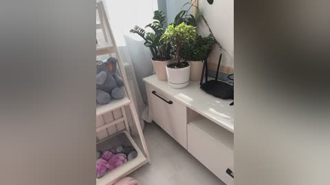 Video of a minimalist, sunlit room with white furniture and plants. A wooden ladder leans against a white cabinet, which houses folded clothes and a black kettle. A potted plant sits on the cabinet, casting soft shadows.