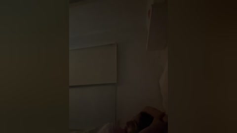 A dimly-lit video of a small room with a white wall featuring a large, plain rectangular painting. A person's arm, possibly female, is visible in the lower right corner.