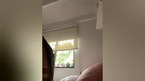 Video of a minimalist, well-lit room with a large window featuring a beige roller shade. A white wall and a pink pillow are visible in the foreground.