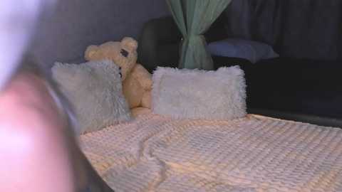 Video of a cozy, dimly lit bedroom featuring a teddy bear, soft pillows, a beige blanket, and a green curtain.