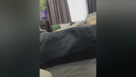 Video of a dimly lit bedroom with a dark gray blanket covering a bed, a green pillow, and a plant in the background.