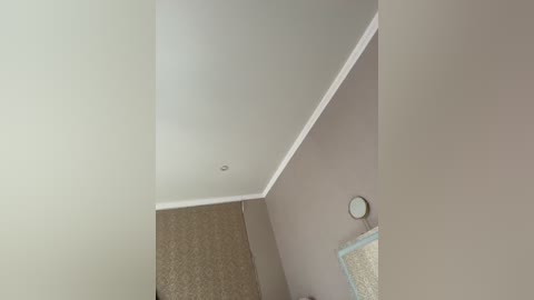 A video of a ceiling with a white border, a small recessed light, beige carpet, and a framed mirror mounted on the wall. The scene is minimalist and clean, with neutral colors.