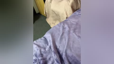 A video shows a cozy bedroom scene with a light purple blanket covering a bed. The bed has a beige blanket and a green carpeted floor.