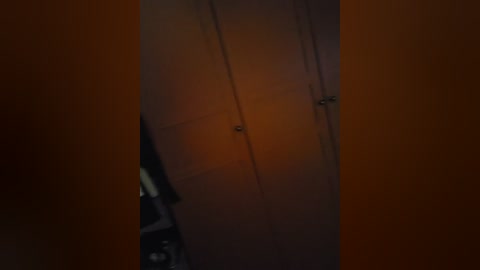 A video of a dimly lit, narrow room with wooden paneling on the walls. A single, narrow, wooden door with a vertical grain pattern stands slightly ajar. The lighting is subdued, creating a moody atmosphere.