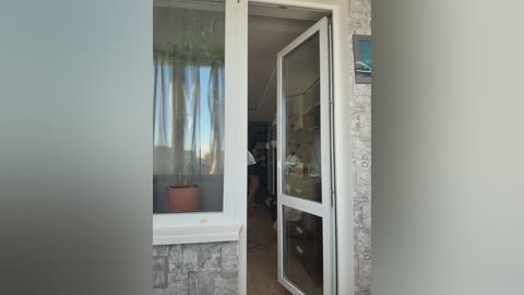 Video of a modern, light gray brick home with a white-framed glass door. Inside, a person wearing black clothing and a white top is visible. A potted plant sits on a windowsill outside.