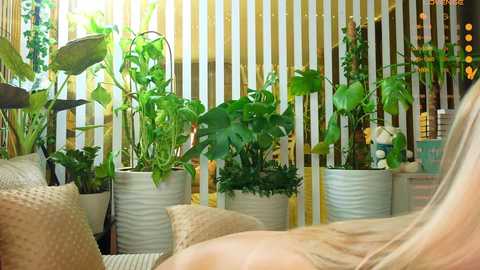A video showcasing a cozy, sunlit indoor space with a mix of potted plants in various sizes and textures, set against a backdrop of vertical, striped yellow and white curtains.