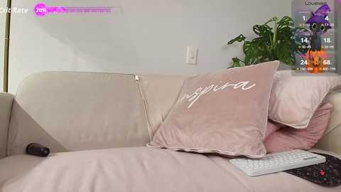Video of a cozy living room featuring a beige couch with pink and white pillows, a plant, and a laptop.