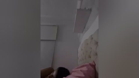 Video of a dimly lit bedroom with a woman sleeping on a bed with pink sheets and a beige tufted headboard. The room features a white wall and a partially visible white window shade.