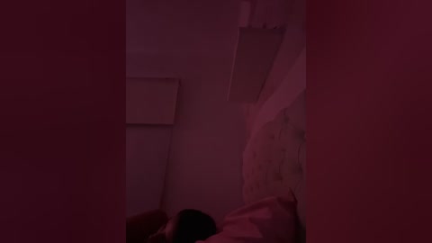 Video of a dimly lit bedroom with pinkish hues, showing a person lying on a bed with white sheets, partially visible due to the shadowy lighting. The walls are plain, and the room appears sparse.