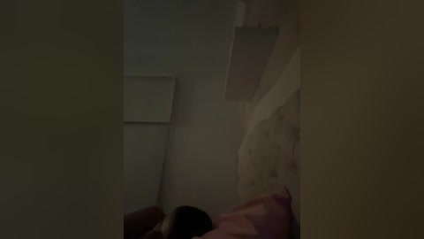 A dimly lit video captures a close-up of a person lying on a bed, partially obscured by shadows, with a pink pillow and beige wall visible. The setting is a modest, dimly lit bedroom.