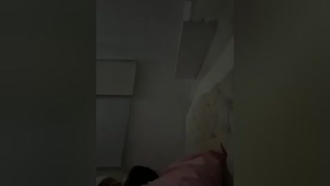 A dimly lit video of a child's bedroom featuring a bed with a pink pillow, a beige headboard, and a white ceiling fan. The room is sparsely decorated, with minimal visible furniture.