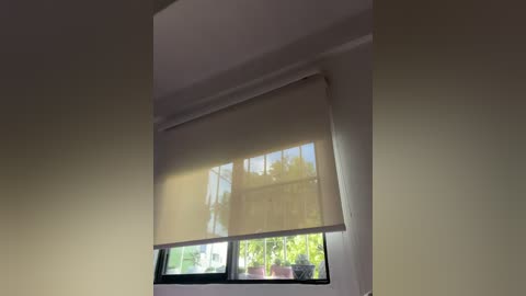 A video of a window with a white roller shade partially down, revealing a clear view of green foliage outside. The room's walls are painted a light beige color.
