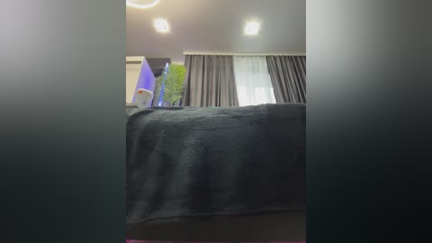 Video of a cozy bedroom with a dark grey blanket on a bed, grey curtains, a potted green plant, and a white wall with a round light fixture.
