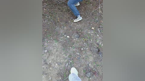 A video showing a person's feet in light sneakers and jeans walking on a dirt path with scattered rocks and grass. The background includes sparse vegetation and hints of a forest.