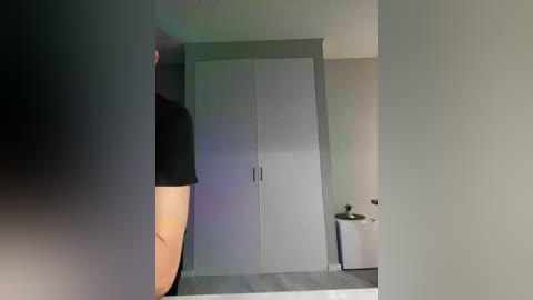 Video of a modern, minimalist room with a white wardrobe, a small potted plant, and a black shirt partially visible on the left.