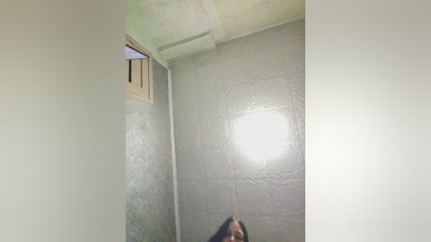 A video of a small, dimly lit bathroom with light green walls, a small window with wooden slats, and a circular light fixture. The image has a slightly blurry, low-resolution quality.