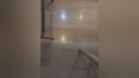 Video of a narrow, beige-painted hallway with a polished wooden floor and a gray metal handrail. The lighting is soft, creating a subtle reflection on the floor.