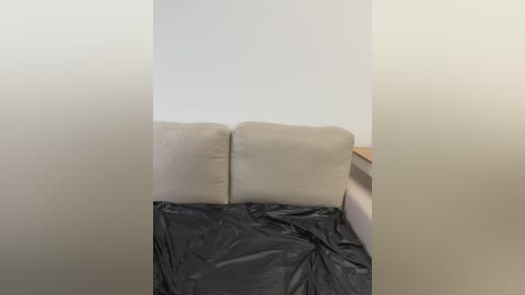 Video of a beige sofa with two cushioned seats, covered in a gray plastic sheet, set against a plain white wall. The image appears slightly blurred, possibly due to a camera setting or distance.