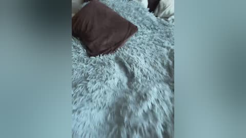 A video of a bed with a fluffy, light blue blanket and a dark brown pillow. The background shows part of a person\u2019s arm and a beige pillow. The image is slightly blurred.