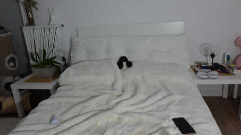 A video of a white dog sleeping on a white bed, with a white lamp and potted plant on the nightstand, and a fan on the floor.