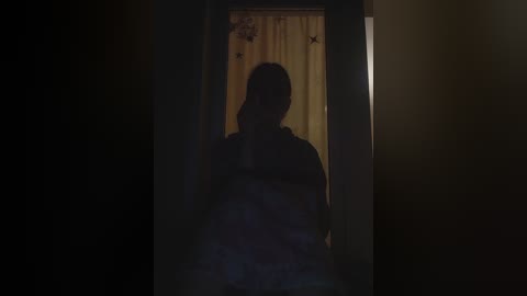 Video of a shadowy silhouette of a person, possibly female, with long hair, standing in a doorway, illuminated by dim light from behind, revealing a curtain with floral patterns in the background.