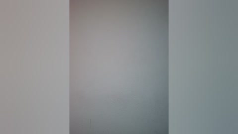 A video of a minimalist, monochromatic room featuring a single, vertical, textured gray wall. The background is a smooth, pale gray, creating a stark, modern aesthetic. The image captures the simplicity and clean lines of contemporary interior design.