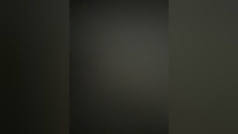 A dimly lit, dark gray video featuring a minimalist composition with two vertical shadows on either side of a central, darker patch. The image has a subtle, almost monochromatic texture.