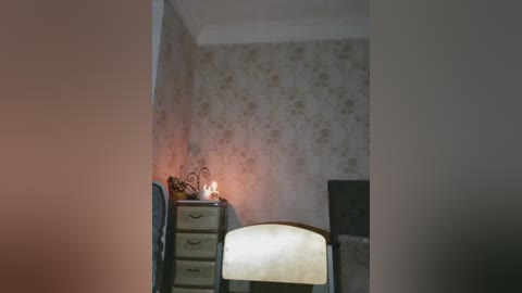 Video of a dimly lit, vintage-style bedroom with floral wallpaper, a small wooden dresser, a chair, and a lamp casting a warm glow. The scene is slightly blurred.