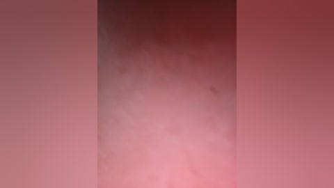 Video of a blurred, red-pink background with a vertical, indistinct shadow or shape in the center. The image lacks clarity and specific details, making it difficult to discern any distinct features.