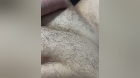 Video of a close-up, cropped view of a person's lower torso with a hairy, light-skinned area. The background is blurred, focusing on the texture and density of the pubic hair.