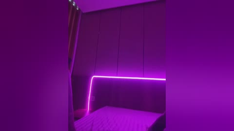 Video of a minimalist bedroom bathed in purple light. The room features a modern, dark wood-paneled wall with a neon pink strip lighting the headboard of a neatly made bed. The atmosphere is sleek and contemporary.