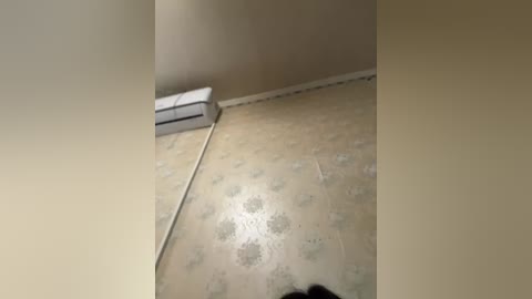 Video of a small, dimly lit room with beige walls, a worn, floral-patterned carpet, and a white box in the corner. The image has a rough, slightly blurry quality.