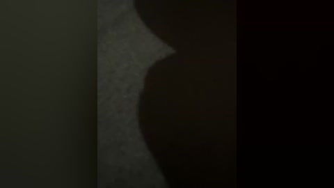 A dimly lit video of a person's silhouette against a textured, dark grey wall. The figure is slightly bent, and the lighting casts a shadow that obscures facial details. The background is indistinct, creating a moody, mysterious atmosphere.