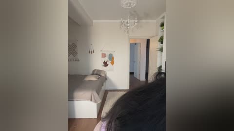 Video of a minimalist, sunlit bedroom with beige walls, wooden floors, a single bed with gray bedding, a hanging chandelier, and a potted plant in the corner.