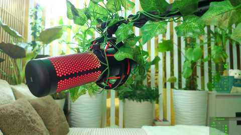A video of a black plastic water bottle repurposed as a planter, hanging from a wooden shelf, filled with green succulents, surrounded by potted plants in a bright, sunlit indoor room.